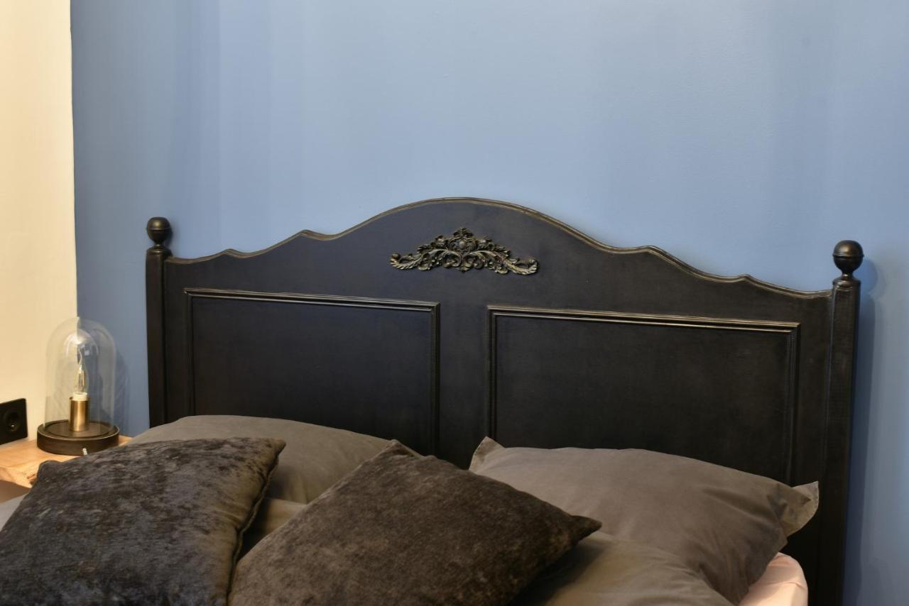 Les Petits Boudoirs De Savoie Apartment Chambery Luaran gambar